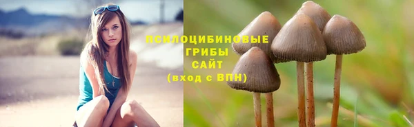 молекула духа Арсеньев